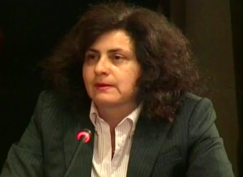 Karen Atala Riffo testifies before the Court about losing custody of her daughters after she came out as a lesbian. Inter-American Court of Human Rights © 2015.