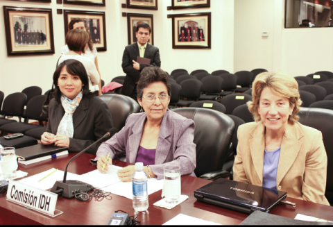 The representatives of the State in the Barbani Duarte et al. case. Inter-American Court of Human Rights © 2015