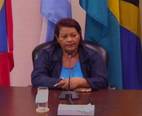 Ms. Eloisa Barrios testifies about the harassment and deaths experienced by her family. Inter-American Court of Human Rights © 2015