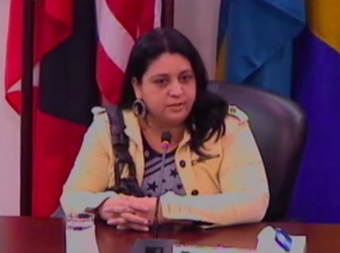 Ms. Yelitze Lisbeth Moreno Cova testifies about the shooting that killed her husband and severely injured her and the couple’s one year old son. Inter-American Court of Human Rights © 2015