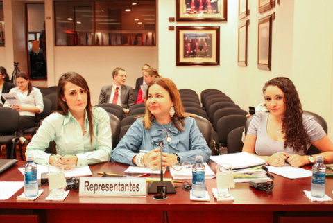 Representatives of the victim and of the state. Inter-American Court of Human Rights © 2015